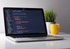 Need of Python programming