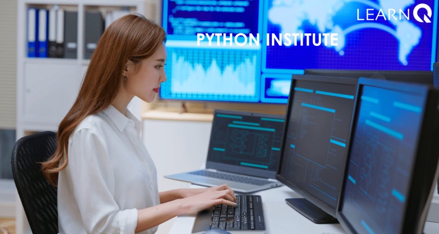 Python Institute: An Exploration of Python Education